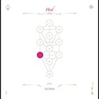 ZION80 Book Beri'Ah Vol.8 - Hod album cover