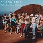 ZOOOM TRIO  (CHRISTIAN LORENZEN - DAVID HELM - DOMINIK MAHNIG) What's for Dessert album cover