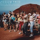 ZOOM TRIO What's for Dessert album cover