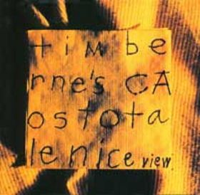 TIM BERNE - Nice View (Tim Berne's Caos Totale) cover 