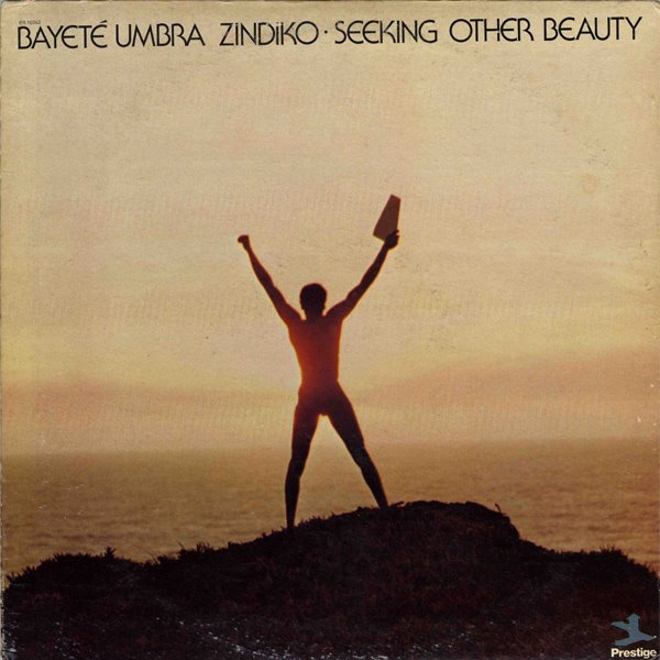 TODD COCHRAN - Bayeté Umbra Zindiko : Seeking Other Beauty cover 