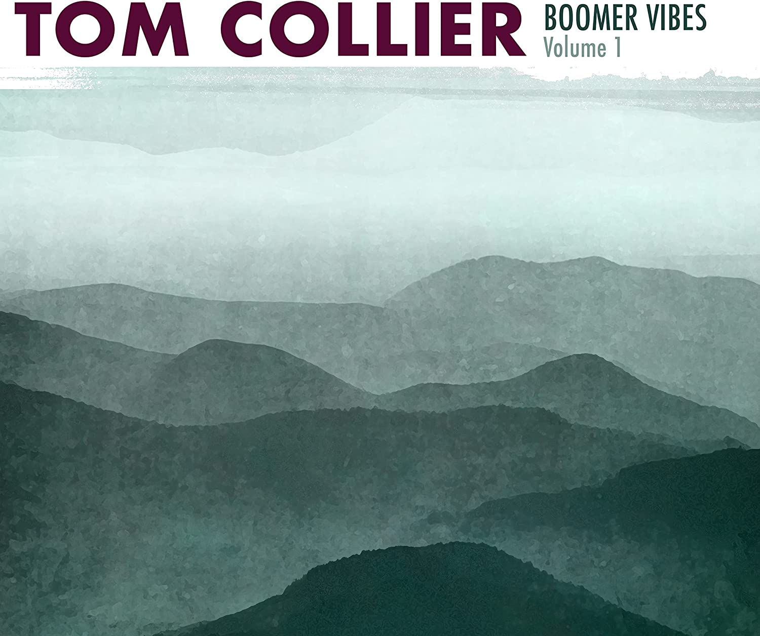 TOM COLLIER - Boomer Vibes 1 cover 
