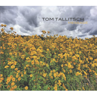 TOM TALLITSCH - Message cover 