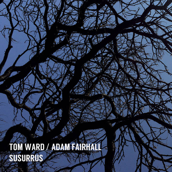 TOM WARD - Tom Ward / Adam Fairhall : Susurrus cover 