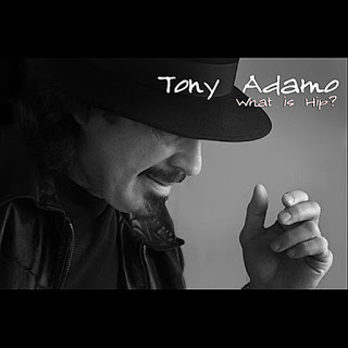 TONY ADAMO - What is Hip? cover 