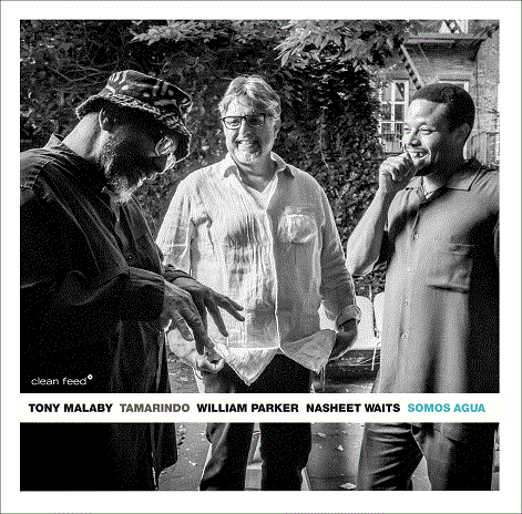 TONY MALABY - Tony Malaby Tamarindo: Somos Agua cover 