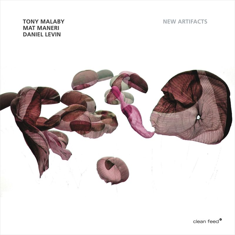 TONY MALABY - Tony Malaby / Matt Maneri / Daniel Levin : New Artifacts cover 