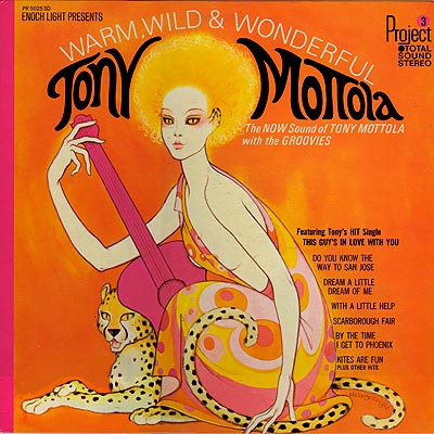 TONY MOTTOLA - Warm, Wild And Wonderful cover 