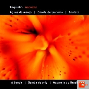 TOQUINHO - Acoustic cover 