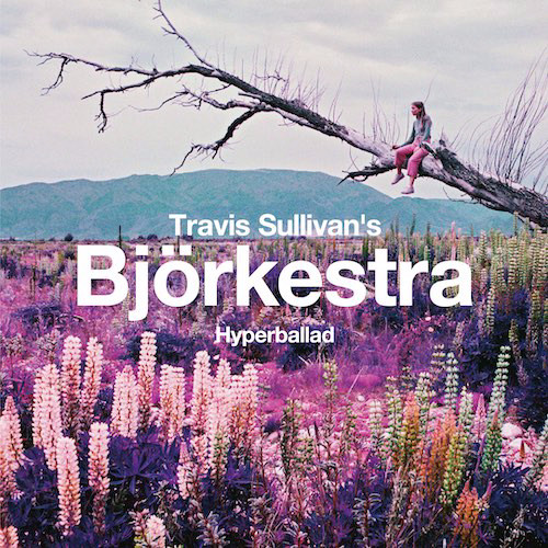 TRAVIS SULLIVAN - Travis Sullivan's Björkestra : Hyperballad / Venus As A Boy cover 