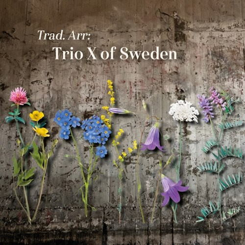 TRIO X (OF SWEDEN) - Trad. Arr: cover 