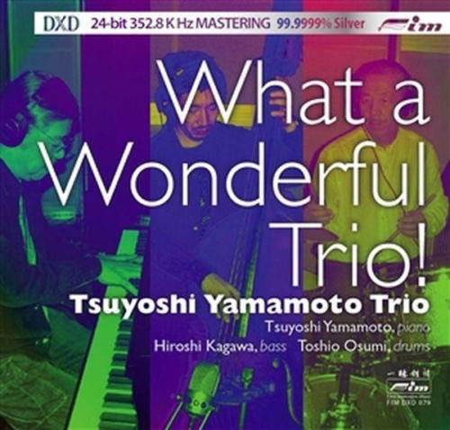 TSUYOSHI YAMAMOTO - What a Wonderful Trio! cover 