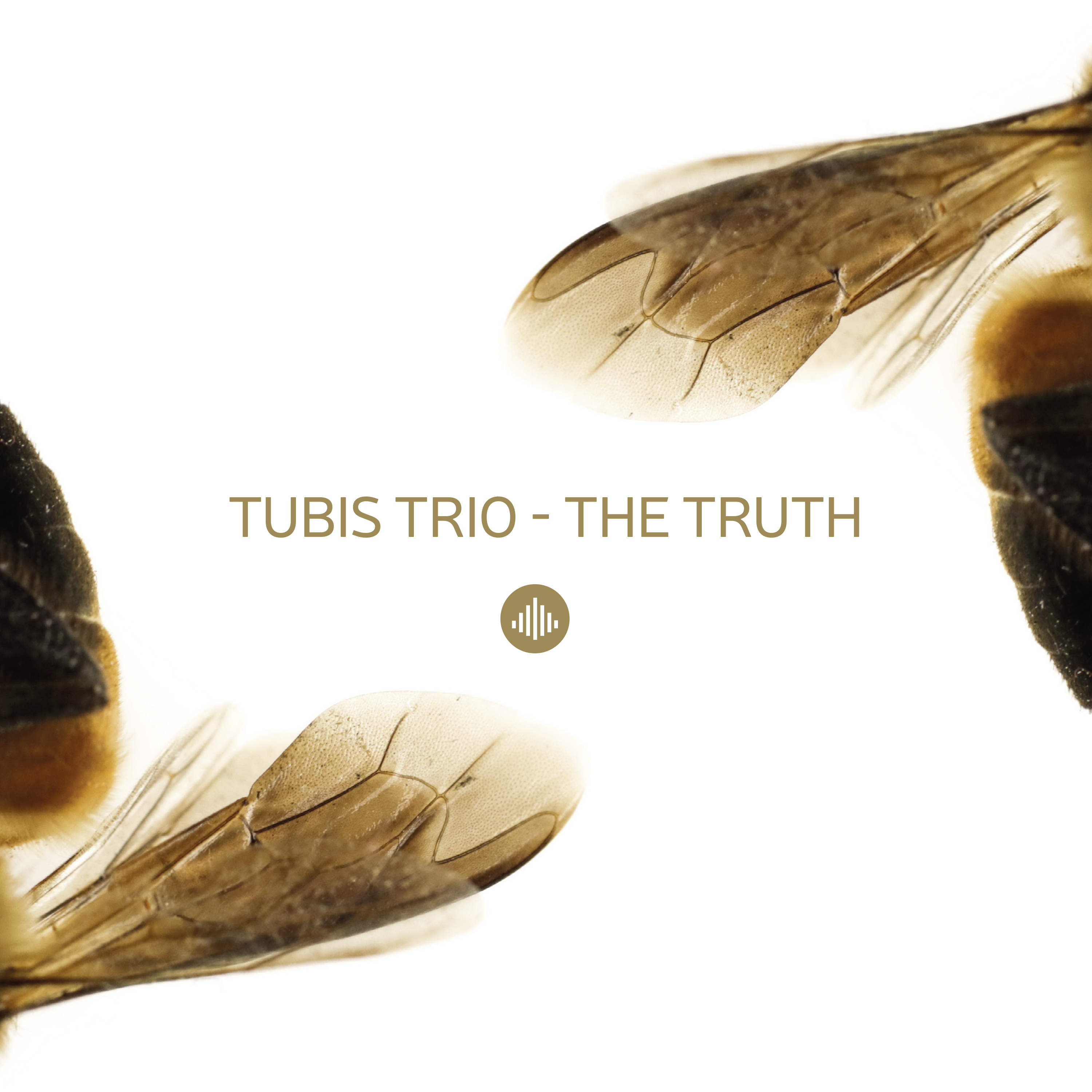 MACIEJ TUBIS - Tubis Trio ‎: The Truth cover 