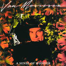 VAN MORRISON - A Sense Of Wonder cover 