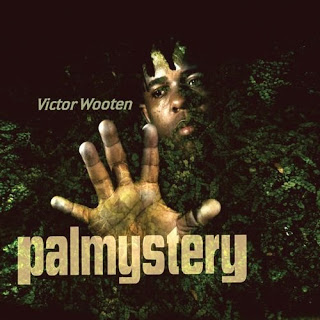 VICTOR WOOTEN - Palmystery cover 