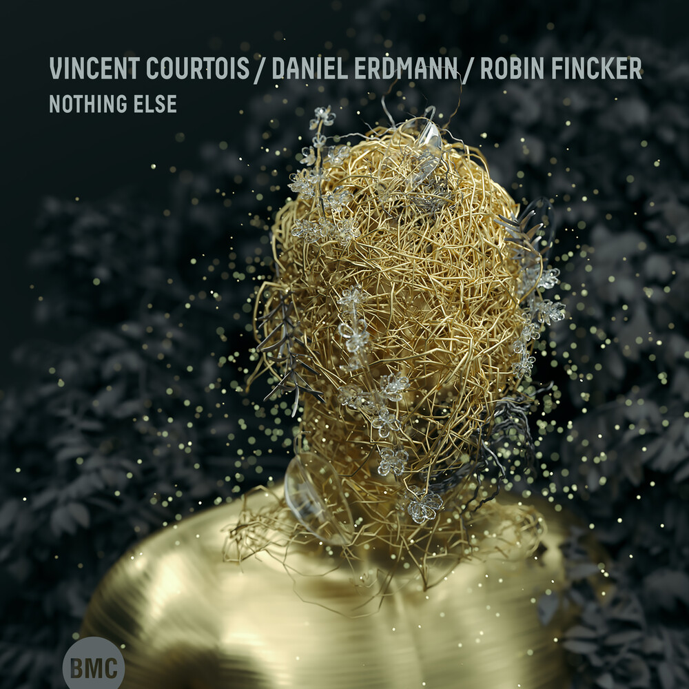 VINCENT COURTOIS - Vincent Courtois & Daniel Erdmann & Robin Fincker : Nothing Else cover 