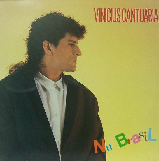 VINICIUS CANTUÁRIA - Nu Brasil cover 