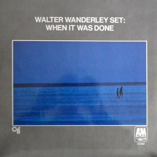 WALTER WANDERLEY - When It Was Done cover 