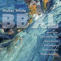 WALTER WHITE - BB XL cover 