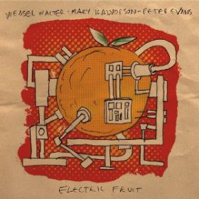 WEASEL WALTER - Electric Fruit (with Mary Halvorson & Peter Evans ) cover 