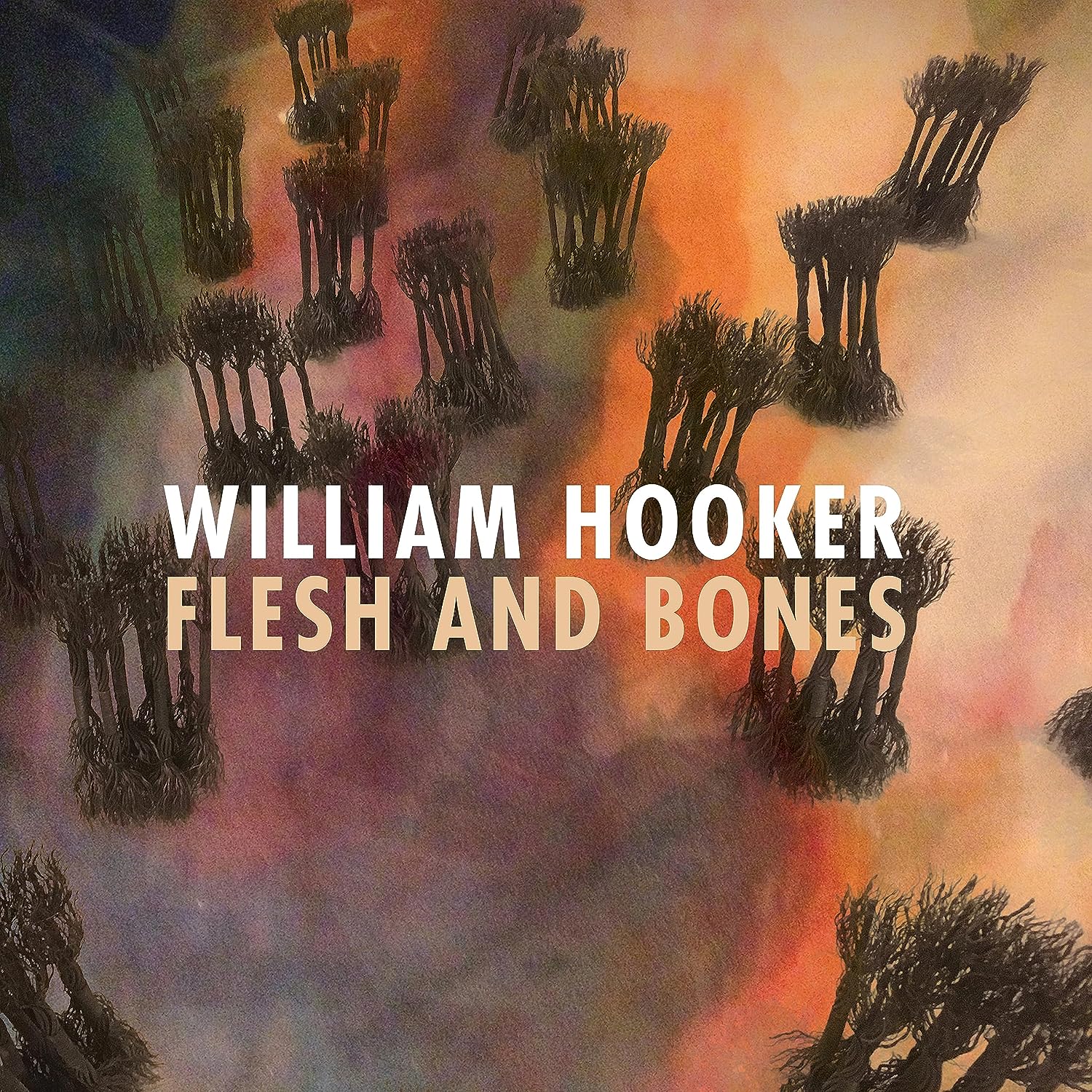 WILLIAM HOOKER - Flesh and Bones cover 