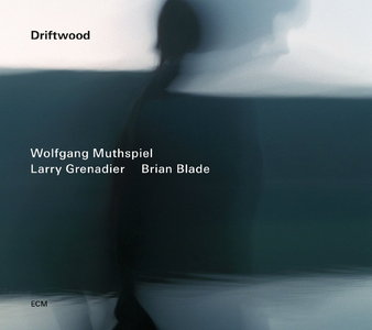 WOLFGANG MUTHSPIEL - Driftwood cover 