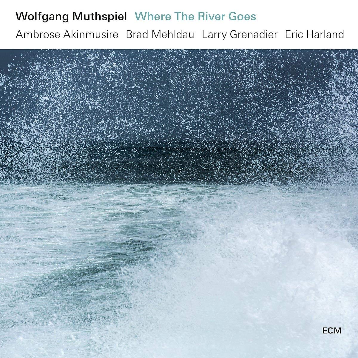 WOLFGANG MUTHSPIEL - Where the River Goes cover 