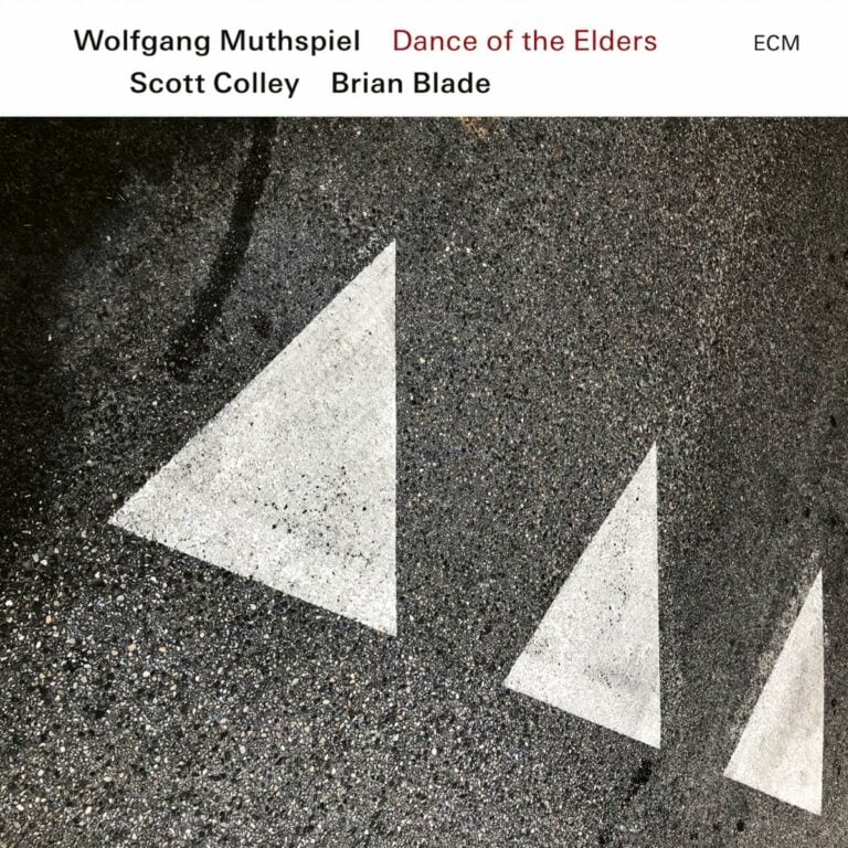 WOLFGANG MUTHSPIEL - Wolfgang Muthspiel, Scott Colley & Brian Blade : Dance of the Elders cover 