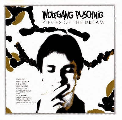 WOLFGANG PUSCHNIG - Pieces Of The Dream cover 