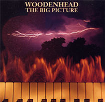 WOODENHEAD - The big picture cover 