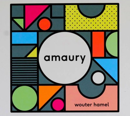 WOUTER HAMEL - Amaury cover 