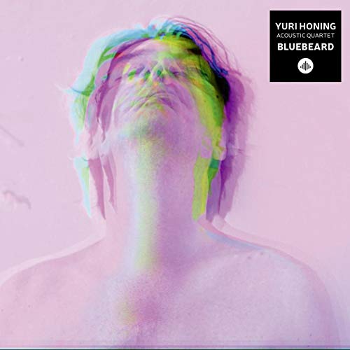 YURI HONING - Bluebeard cover 