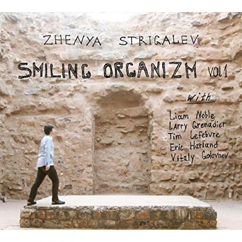 ZHENYA STRIGALEV - Smiling Organizm Vol. 1 cover 