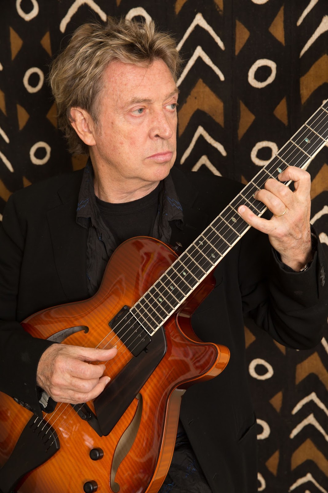 ANDY SUMMERS picture