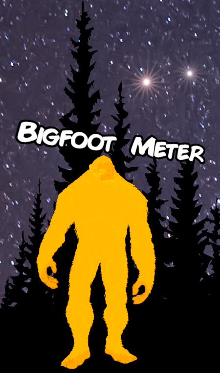 BIGFOOT METER picture