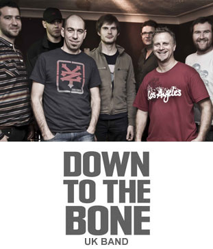 DOWN TO THE BONE picture