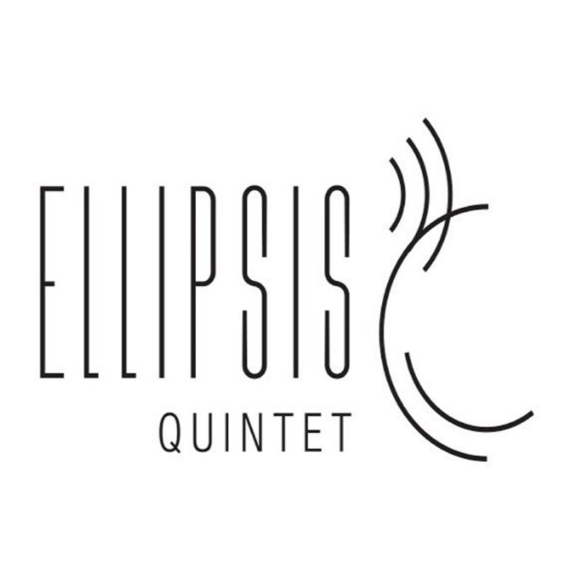 ELLIPSIS QUINTET picture