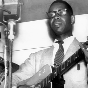 ELMORE JAMES picture