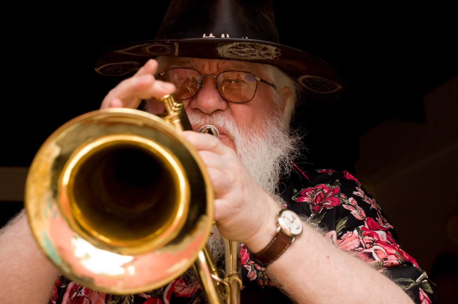 HERMETO PASCOAL picture