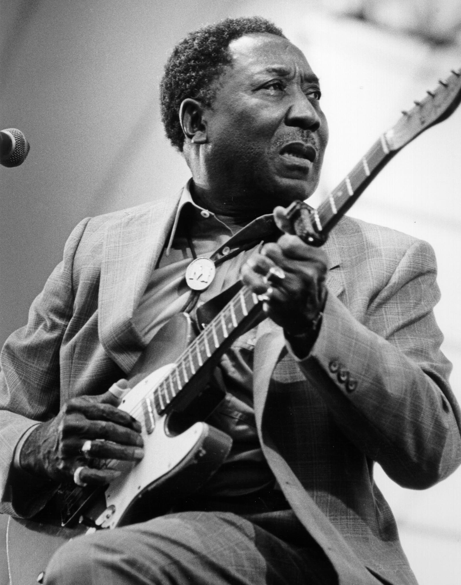 MUDDY WATERS picture