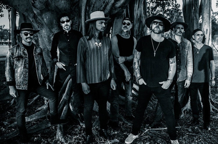 THE ALLMAN BETTS BAND picture