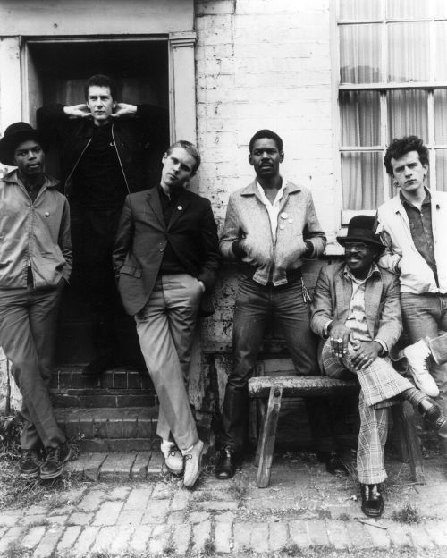 THE BEAT (THE ENGLISH BEAT) picture