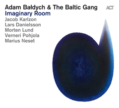 ADAM BALDYCH - Imaginary Room cover 
