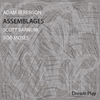 ADAM BERENSON - Adam Berenson, Scott Barnum & Bob Moses : Assemblages cover 