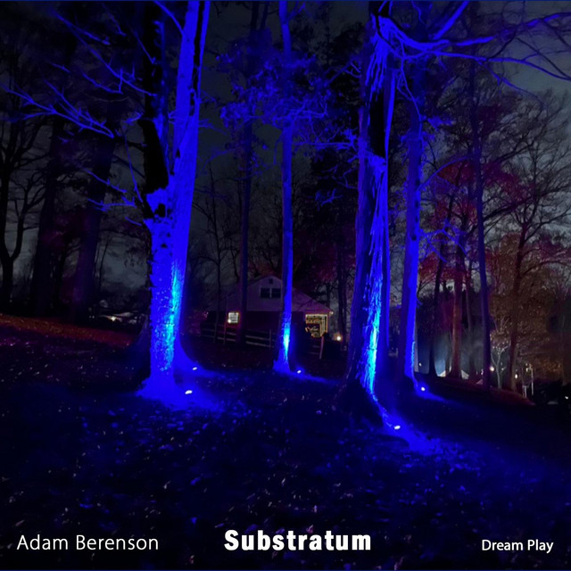 ADAM BERENSON - Substratum cover 