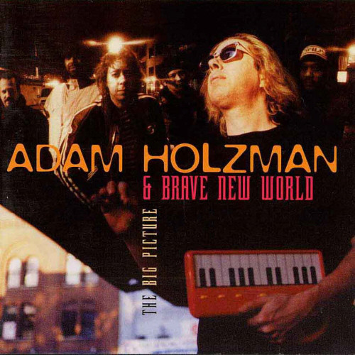 ADAM HOLZMAN - Adam Holzman & Brave New World : The Big Picture cover 