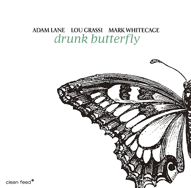 ADAM LANE - Drunk Butterfly (Lane/Grassi/Whitecage) cover 