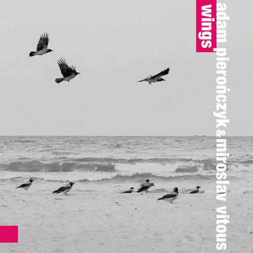 ADAM PIEROŃCZYK - Adam Pierończyk & Miroslav Vitous : Wings cover 