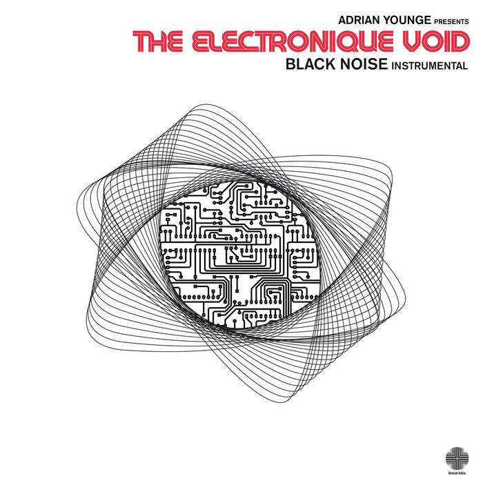 ADRIAN YOUNGE - The Electronique Void Instrumentals cover 