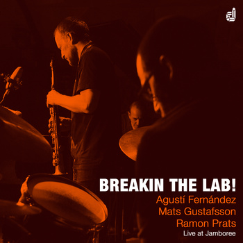 AGUSTÍ FERNÁNDEZ - Breakin The Lab! cover 